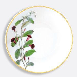 Bernardaud Jardin Indien Bread and butter plate